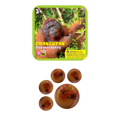 Orangutan